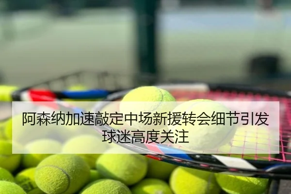 阿森纳加速敲定中场新援转会细节引发球迷高度关注